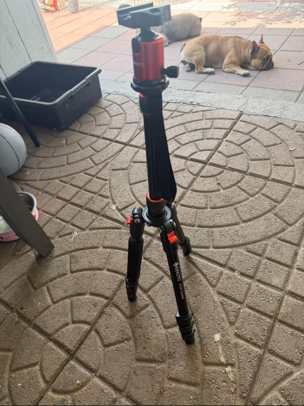 GEEKOTO AT24 Traveller Camera DSLR Aluminum Tripod/Monopod Lightweight